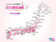 Mùa hoa anh Đào ở Nhật Bản là thời điểm thu hút rất nhiều du khách